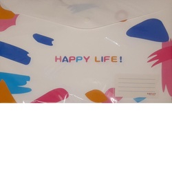 VERAT MCB KJ-004 F Folder File